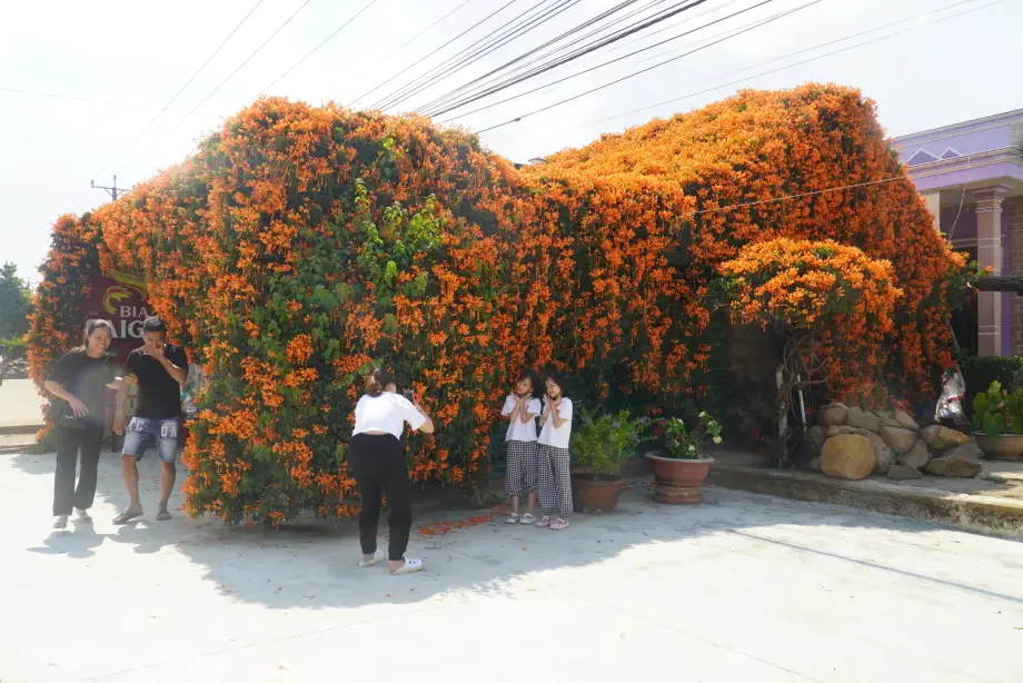 Nằm Mơ Thấy Ớt Đỏ: Giải Mã Từ Chuyên Gia & Hóa Giải An Tâm 5 Ngôi nhà ấm cúng, chùm ớt đỏ trang trí.