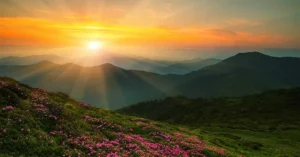 Bình minh rực rỡ trên khung cảnh yên bình.