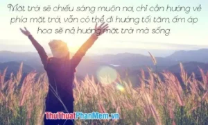 Bình minh cầu sương, hy vọng an yên