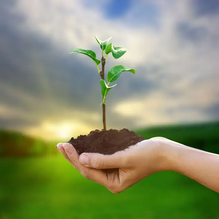 Hình ảnh biểu tượng An ủi Hy vọng