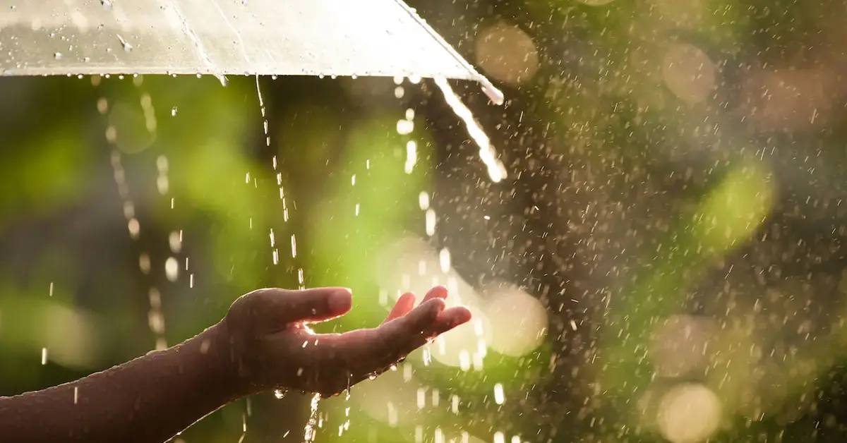 Giải Mã Giấc Mơ Thấy Mưa: Điềm Lành, Điềm Dữ & Cách Hóa Giải Hiệu Nghiệm 4 Hình ảnh cơn mưa dịu dàng