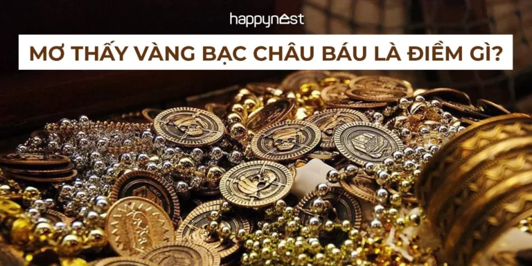 Suy tư về giấc mơ vàng bạc