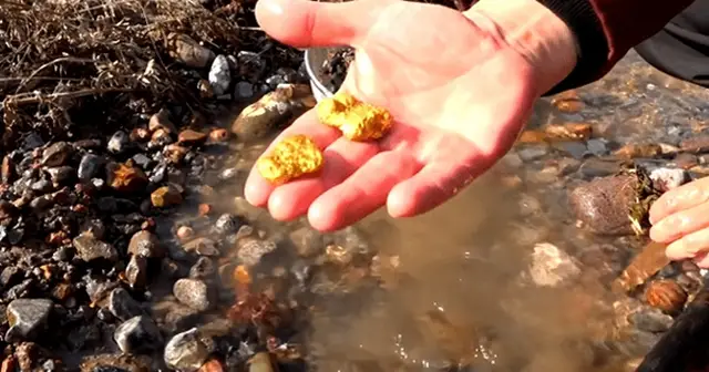 Nằm Mơ Thấy Đào Được Vàng Trong Mộ: Ý Nghĩa Sâu Xa Là Gì? 4 Bàn tay đào đất, phát hiện vàng.