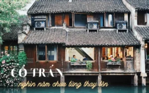 Mộ Cổ Trầm Mặc: Vẻ Đẹp Lịch Sử Ngàn Năm.