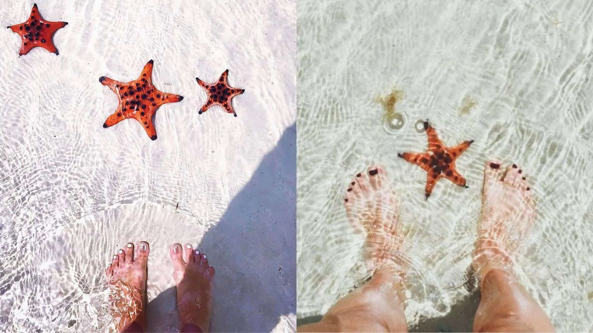 Bàn tay buông sao biển về biển