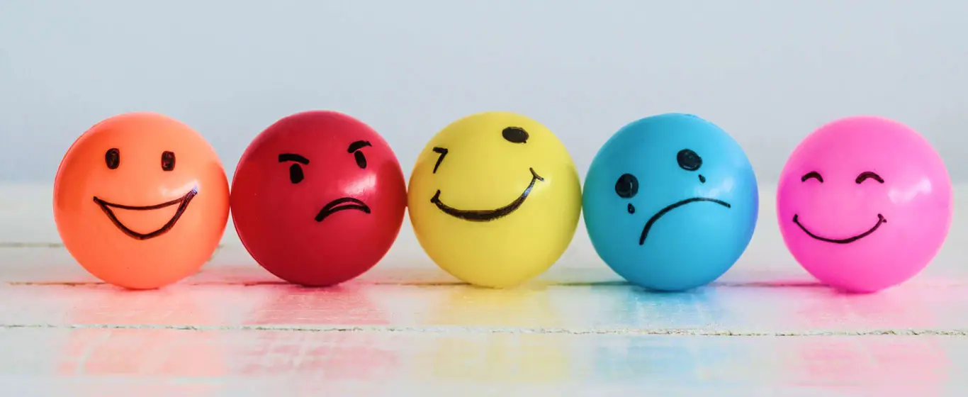 Giấc mơ đi học: Cảm xúc vui buồn lẫn lộn.