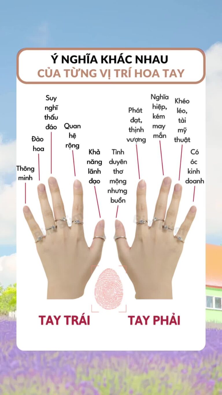 Tỳ Hưu Nhẫn Đeo Ngón Nào Để Thu Hút Tài Lộc, Cát Khí Chuẩn Phong Thủy Chính Phái? 1 Bàn tay minh họa vị trí và ý nghĩa ngón tay