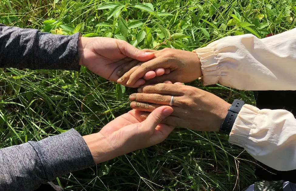 Nằm Mơ Thấy Hạt Lúa: Giải Mã Điềm Báo & Hóa Giải Vận Trình Tâm Linh 6 Bàn tay trao lúa, sẻ chia biết ơn.