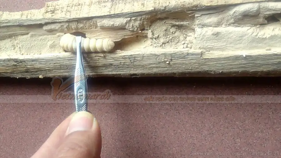 Kiêng Kỵ Bàn Thờ Sát Tường Ẩm: Hóa Giải Hiệu Nghiệm Phong Thủy Chính Phái 3 Bàn thờ ẩm mốc, xuống cấp sau tường.