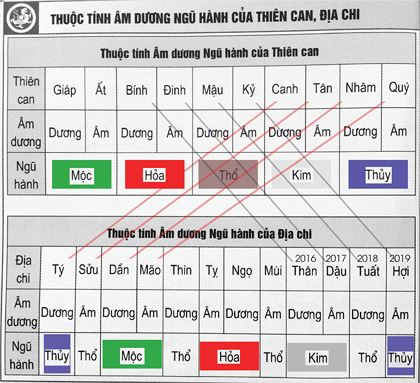 Tỳ Hưu và Nơi Sinh: Giải Mã Mối Liên Hệ Sâu Sắc Để Chiêu Tài Vượng Khí Chuẩn Phong Thủy Chính Phái 4 Bảng Bát Tự Thiên Can Địa Chi Ngũ Hành