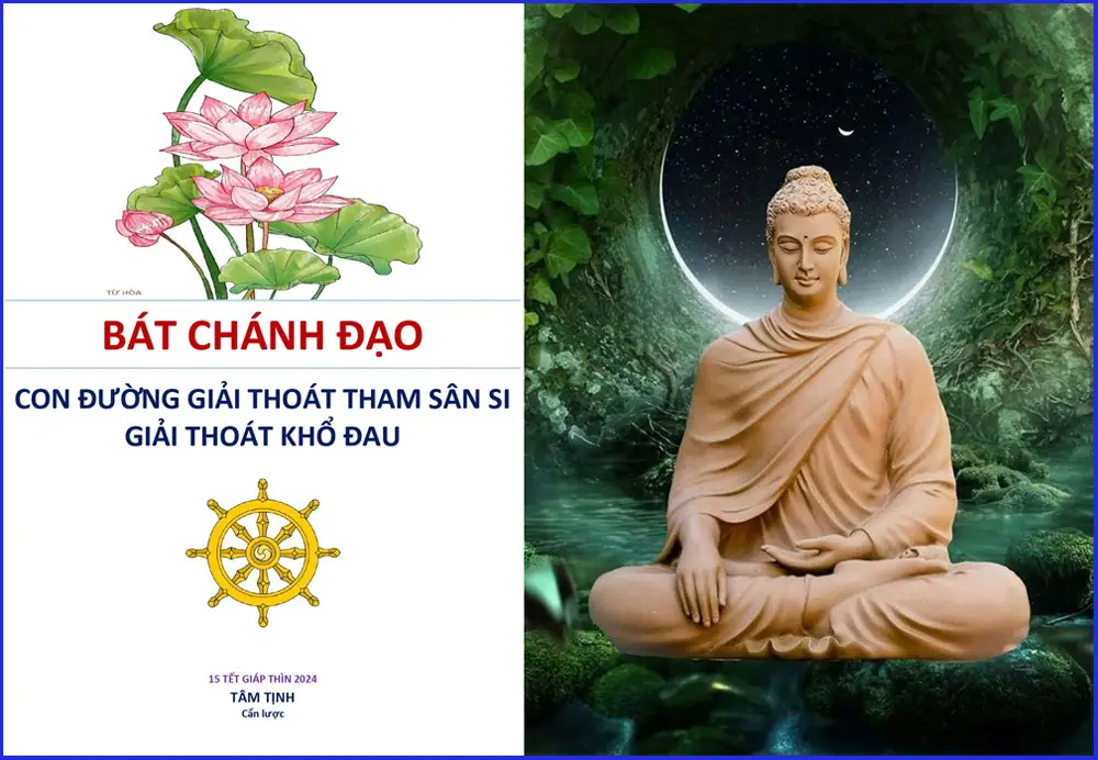 Thiền Định Vun Đắp Nhân Hòa Tuyệt Vời