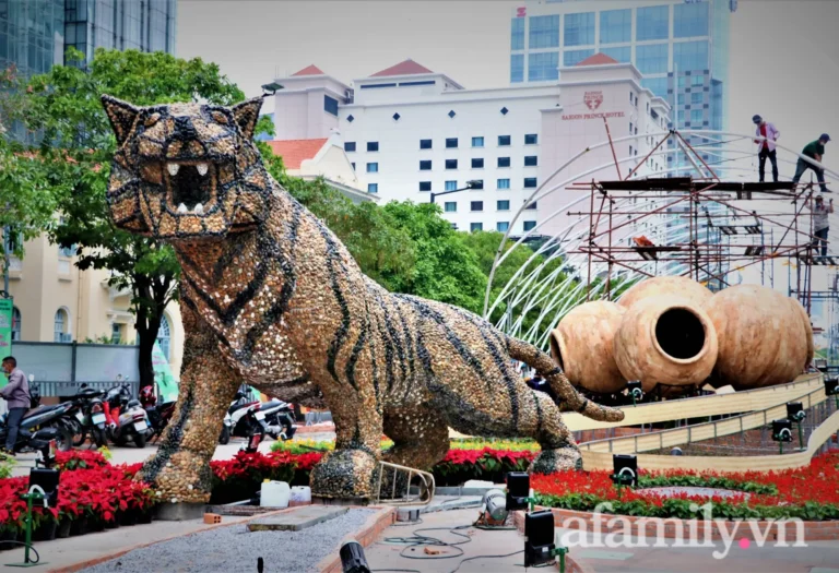 Báo gấm uy nghi, chúa tể rừng xanh