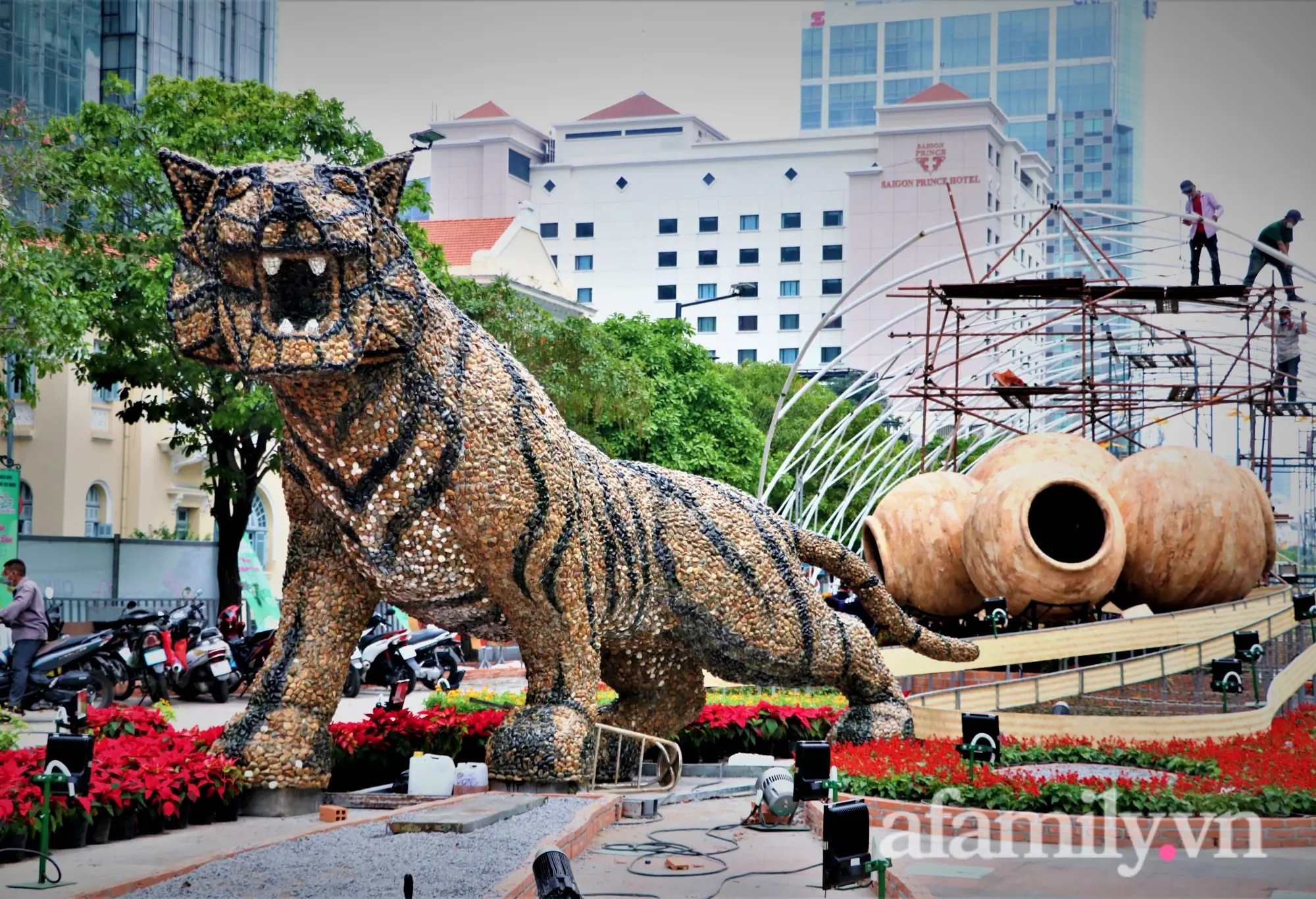 Báo gấm uy nghi, chúa tể rừng xanh