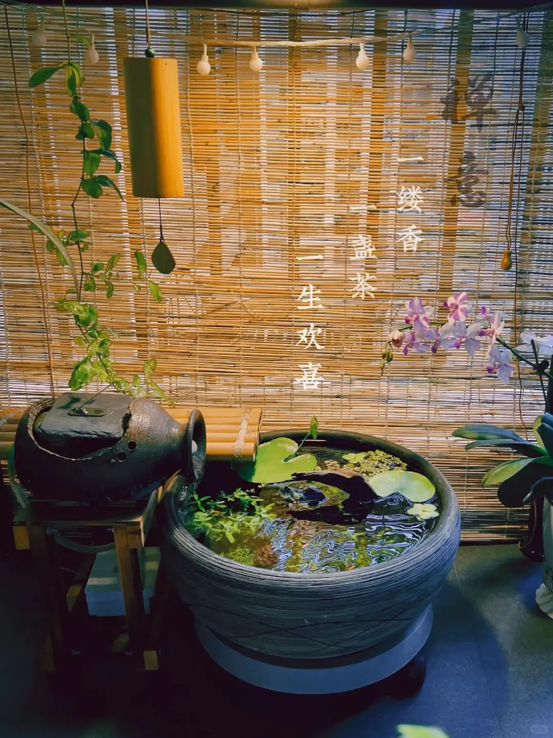 An yên chăm sóc bể cá, thư giãn tâm hồn.