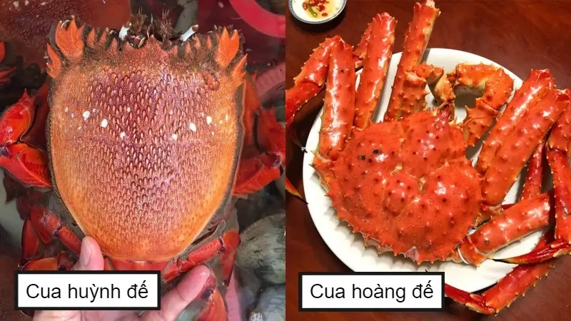 Nằm Mơ Thấy Bắt Cua: Luận Giải Sâu Sắc Và Lời Khuyên An Tâm Tuyệt Đối 3 Cua hoang dã: Bí ẩn, mạnh mẽ