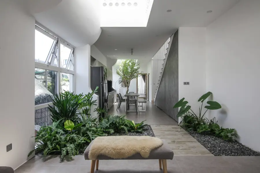 Kiêng kỵ vật phẩm bừa bộn: Hóa giải để khai thông vận khí 6 Góc nhà gọn gàng, cây xanh, ánh sáng hài hòa.