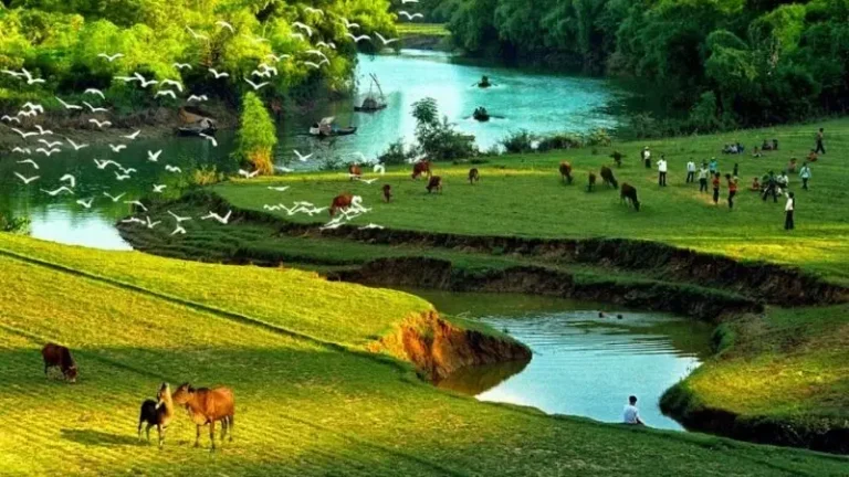 Ngắm nhìn quê hương hoài niệm