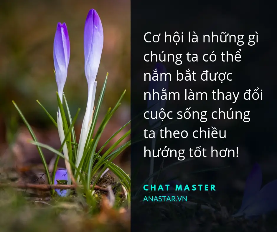 Nằm Mơ Thấy Bắt Cua: Luận Giải Sâu Sắc Và Lời Khuyên An Tâm Tuyệt Đối 5 Cua cơ hội: Suy tư nắm bắt