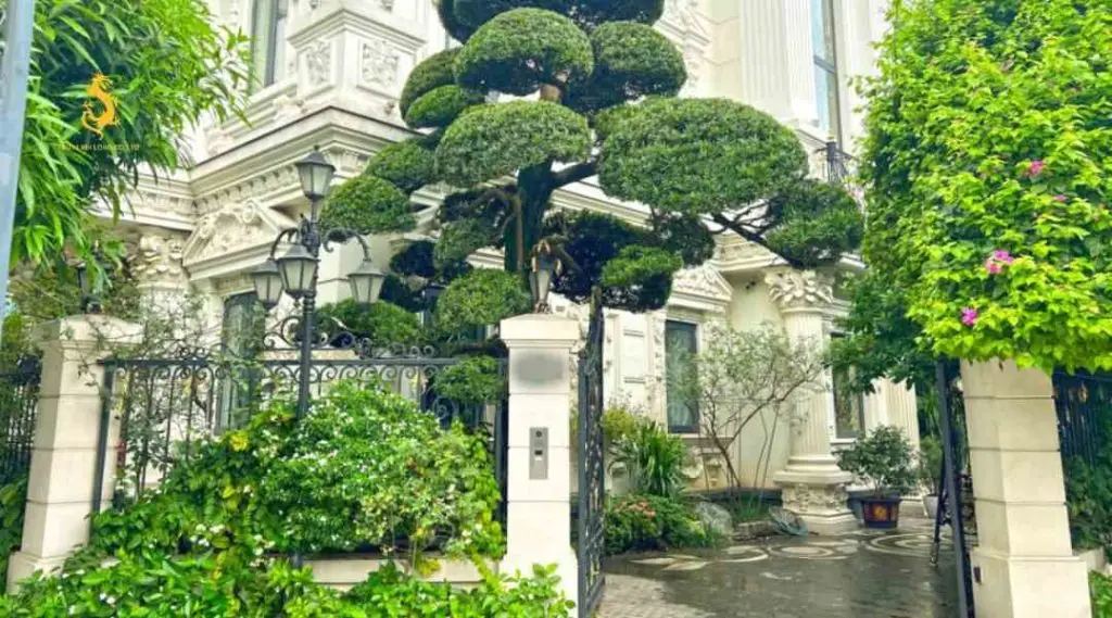 Cây xanh, bình phong hóa giải phong thủy cửa đối cửa.