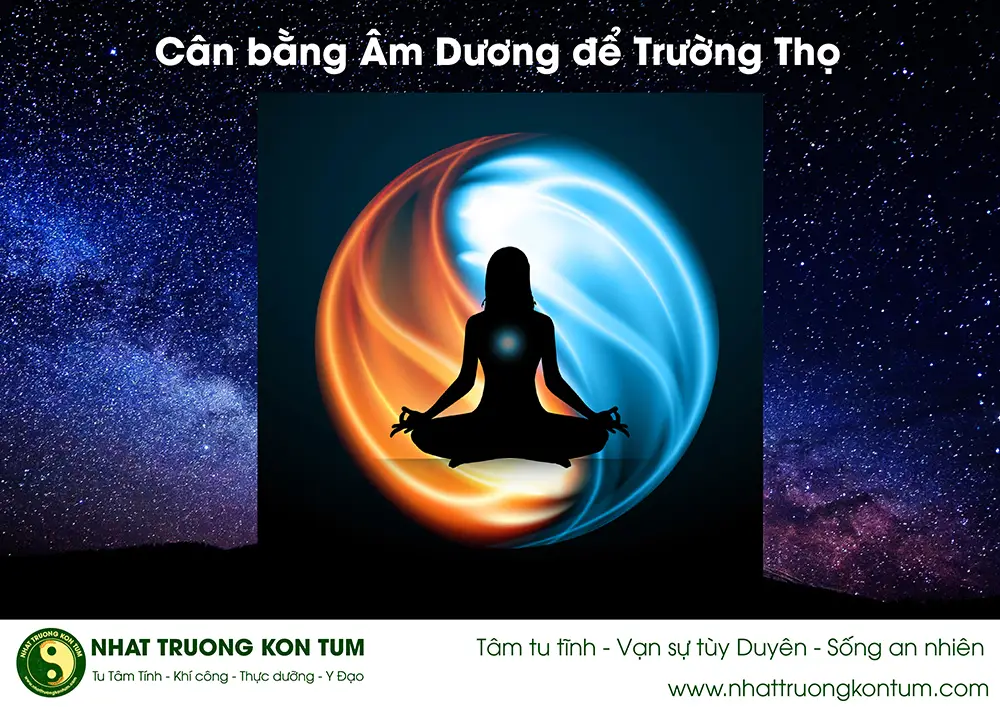 Sách Cổ Âm Dương: Kiến Thức Cân Bằng