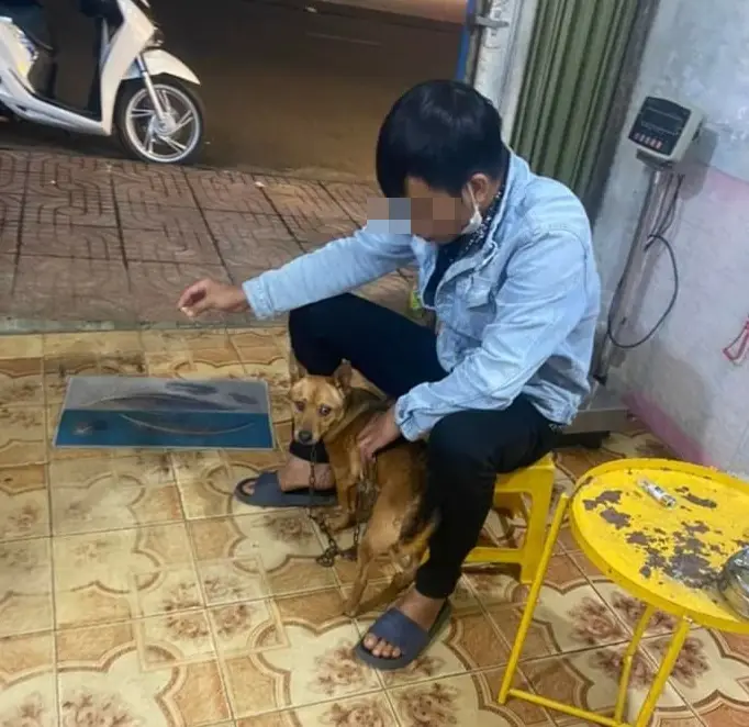 Giải Mã Giấc Mơ Thấy Mèo Đen: Lời Nhắn Từ Thế Giới Vô Hình 6 Người cho mèo ăn: Từ bi và may mắn.