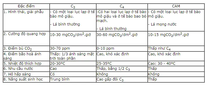 Điềm báo và hóa giải: Bảng so sánh
