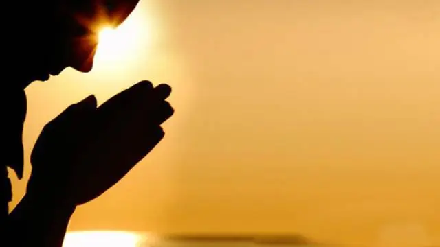 Giải Mã Giấc Mơ Thấy Cú Mèo: Điềm Báo & Hóa Giải Bình An 7 Bàn tay cầu nguyện trong ánh sáng dịu nhẹ