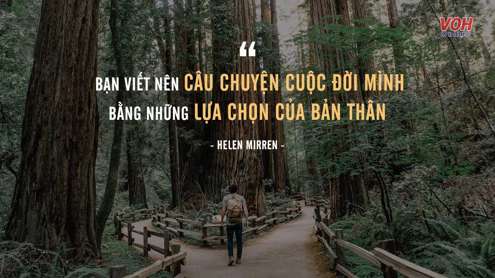 Đắn đo lựa chọn đường đời.