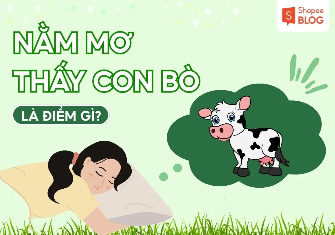 Nằm mơ thấy bò sữa: Giải mã điềm báo may rủi và cách hóa giải 7 Giải mã giấc mơ bò sữa: Điềm tốt xấu.