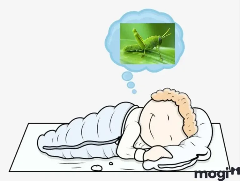 Hình ảnh minh họa một người đang băn khoăn về giấc mơ thấy châu chấu