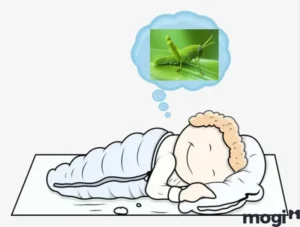 Người suy tư về giấc mơ châu chấu