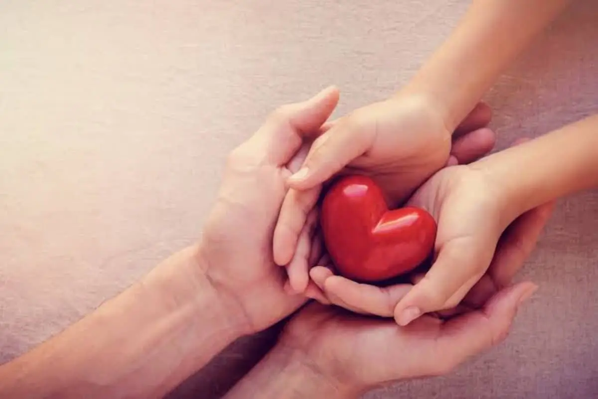 Bàn tay thiện nguyện lan tỏa yêu thương.