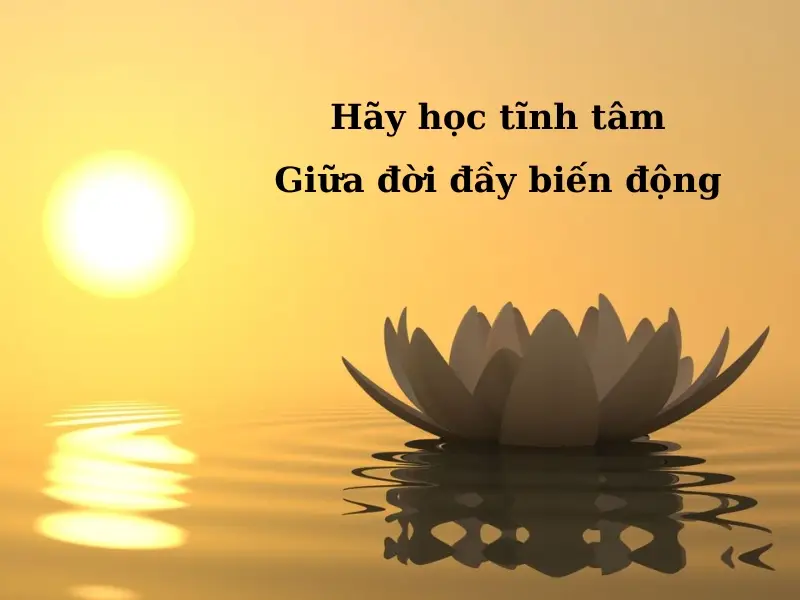 Nằm mơ thấy người ta cầm dao đuổi mình: Giải mã ý nghĩa và cách hóa giải 7 Thiền định, viết nhật ký: Khoảnh khắc tĩnh tâm.