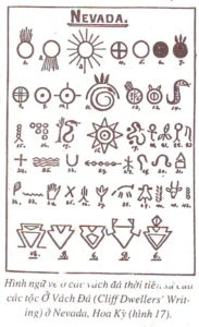 Rắn Sáng Tối: Biểu Tượng Âm Dương