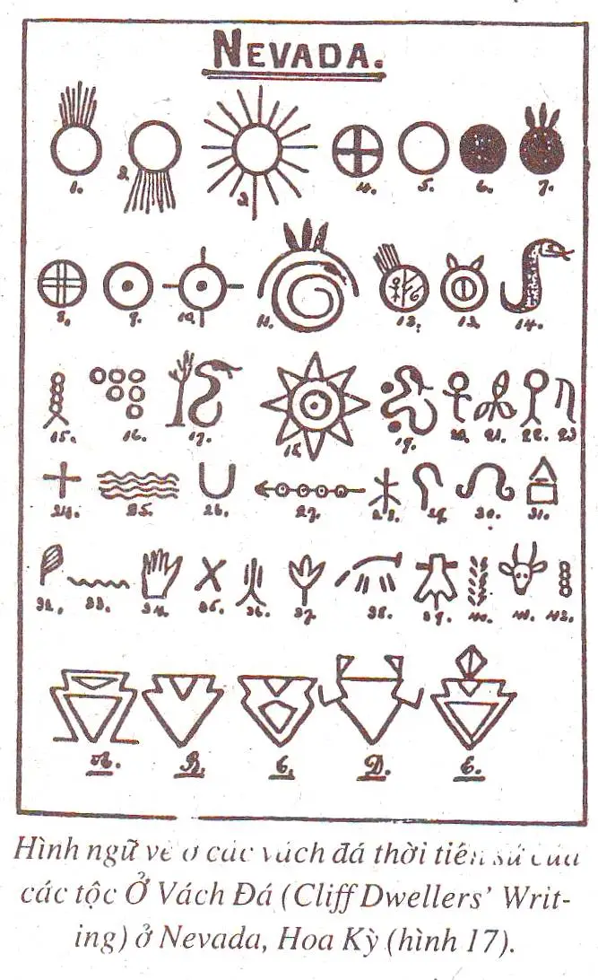 Rắn Sáng Tối: Biểu Tượng Âm Dương