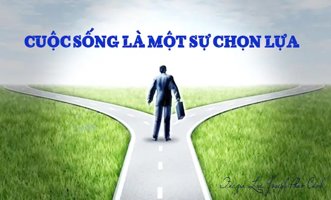 Giao lộ cuộc đời: Lựa chọn hay trách nhiệm?