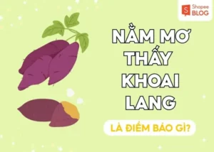 Người suy tư giấc mơ, khoai lang bay lơ lửng.