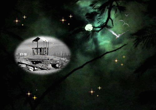 Người trăn trở giấc mơ đêm tối.