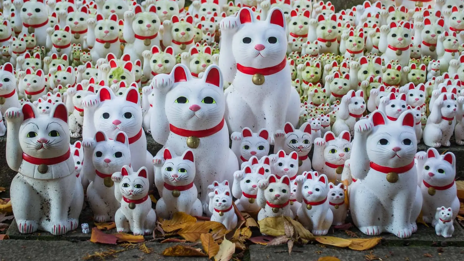 Mèo Thần Tài Maneki Neko tại Đền Gotokuji