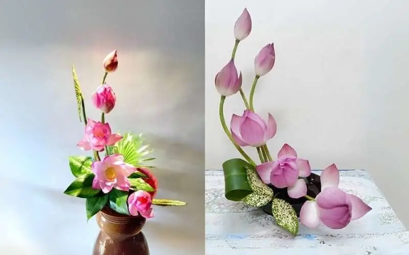 Sen hồng trắng hé nở bàn thờ Phật