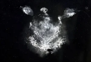 Bồ câu đen bí ẩn trong khung cảnh.