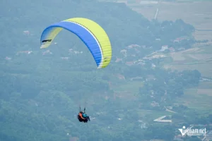 Bay lượn tự do giữa bầu trời xanh.