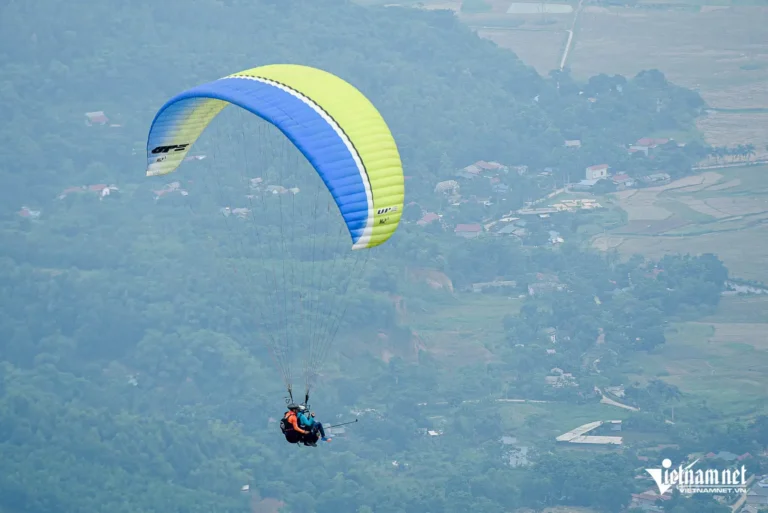 Bay lượn tự do giữa bầu trời xanh.