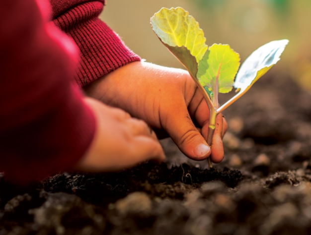 Nằm Mơ Thấy Có Con: Giải Mã Điềm Báo Từ Giấc Mơ Thiêng Liêng 7 Gieo hạt giống, tích đức hành thiện.