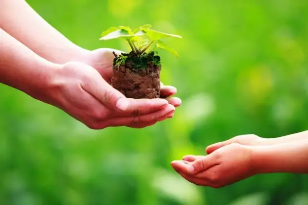 Bàn tay gieo hạt thiện lành.