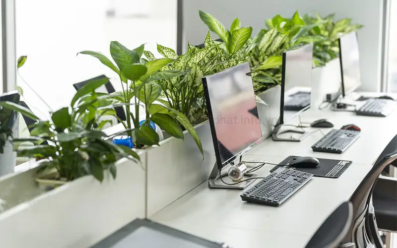 Khai Mở Tài Lộc: Khám Phá Ý Nghĩa Hướng Đông Nam Trong Phong Thủy 6 Góc Làm Việc Phong Thủy Đông Nam, Xanh Tự Nhiên