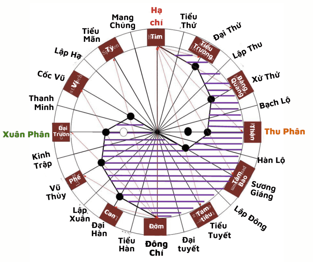 Nằm Mơ Thấy Mình Đứng Trên Sân Khấu Lớn: Giải Mã Điềm Báo Tâm Linh 6 Biểu đồ giải mã giấc mơ cân bằng âm dương.