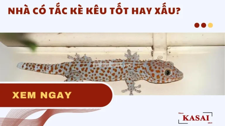 Tắc kè trên tường nhà: linh hoạt ẩn mình.
