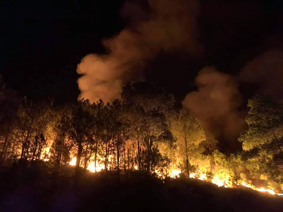 Rừng thông cháy khói bốc lên hoang tàn.