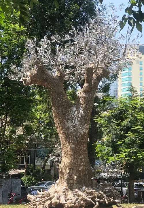 Cây cổ thụ nảy lộc biểu tượng hồi sinh.